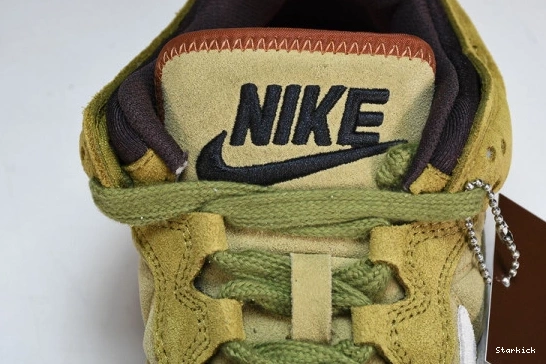 Cactus Nike   CPFM Desert Flea  DM0430-700 Moss Flea Plant 1 Market 0116